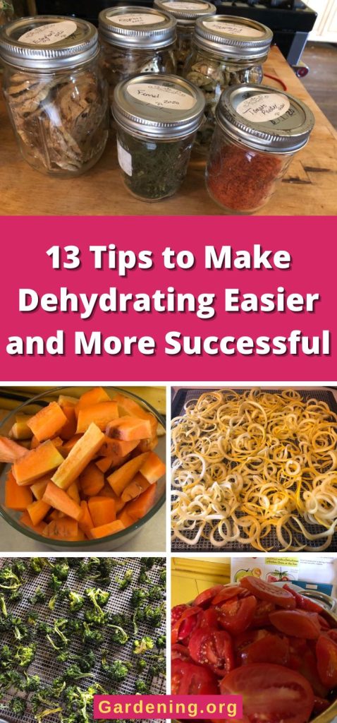 13 Tips to Make Dehydrating Easier and More Successful pinterest image.