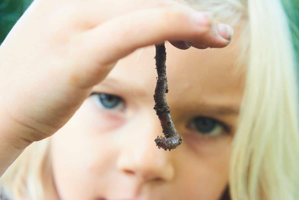 A girl looks at a worm