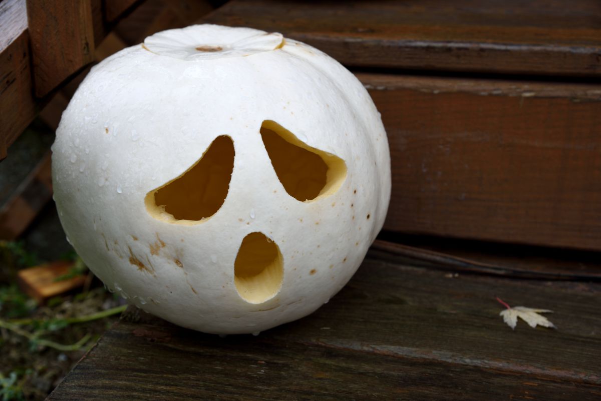 A ghost face jack-o-lantern