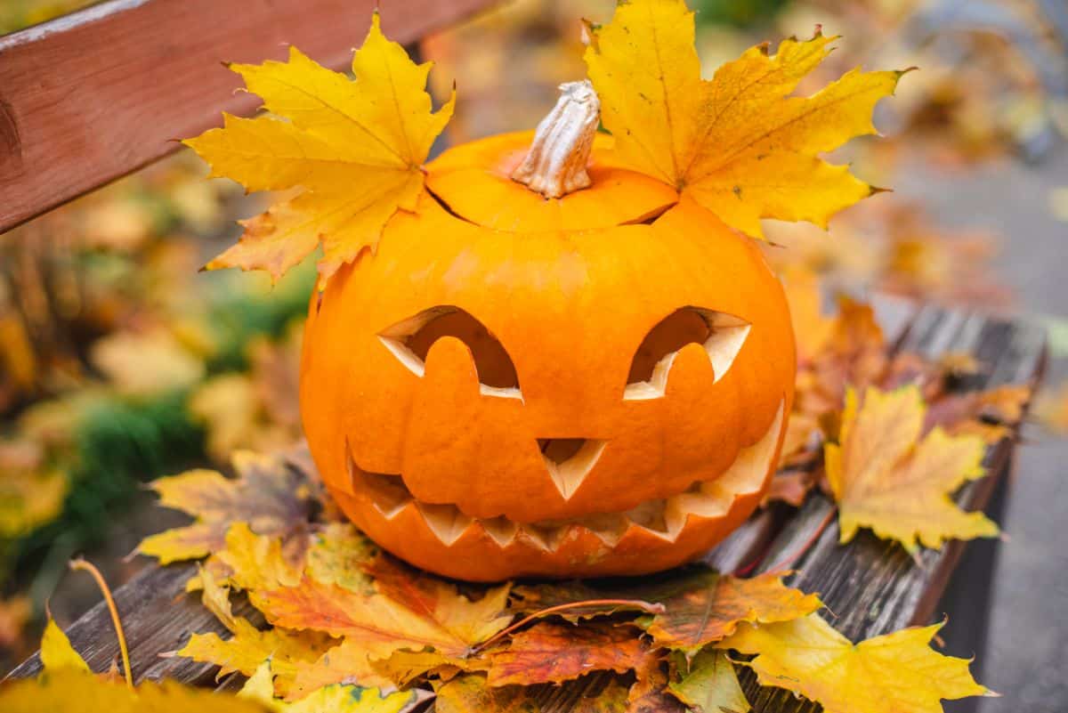 A fun carved pumpkin