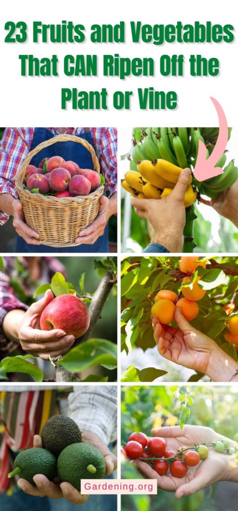 23 Fruits and Vegetables That CAN Ripen Off the Plant or Vine pinterest image.