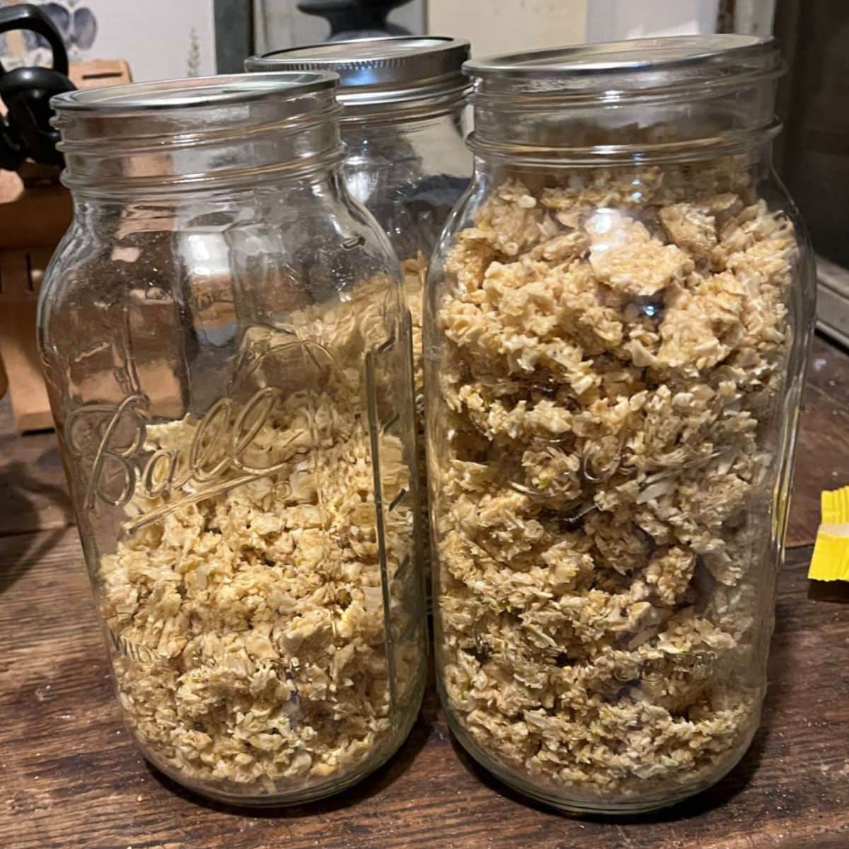 Dehydrated garlic stored in two canning jars.