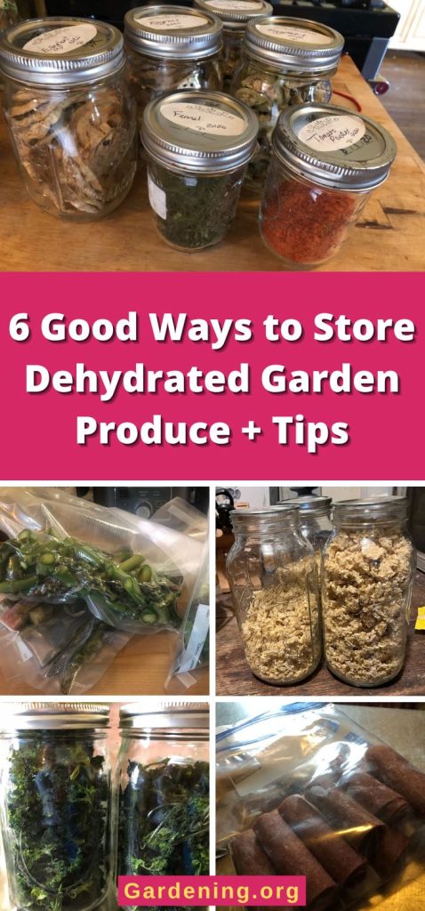 6 Good Ways to Store Dehydrated Garden Produce + Tips pinterest image.