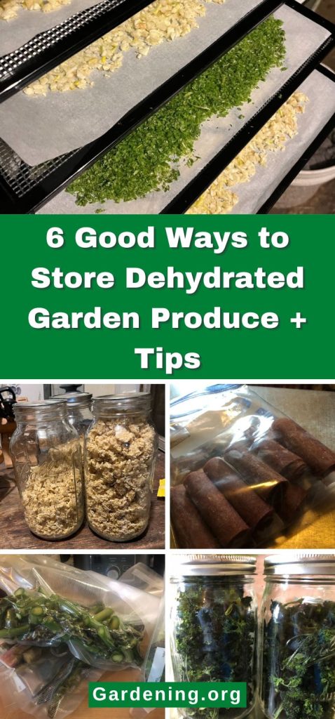 6-good-ways-to-store-dehydrated-garden-produce-pin