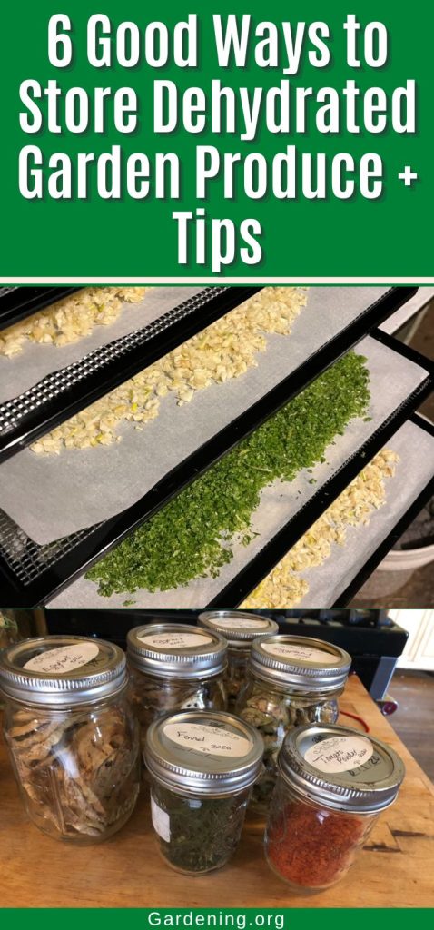 6 Good Ways to Store Dehydrated Garden Produce + Tips pinterest image.