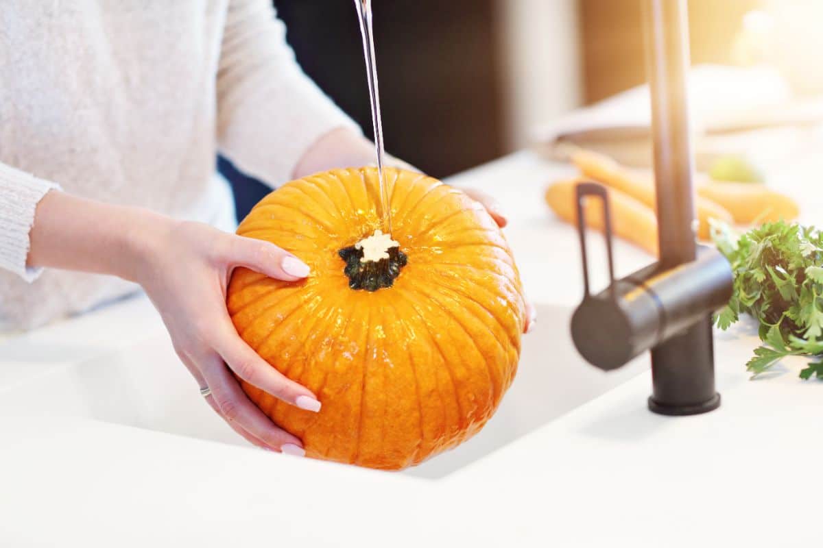 A person washing a fresh picked pumpkin