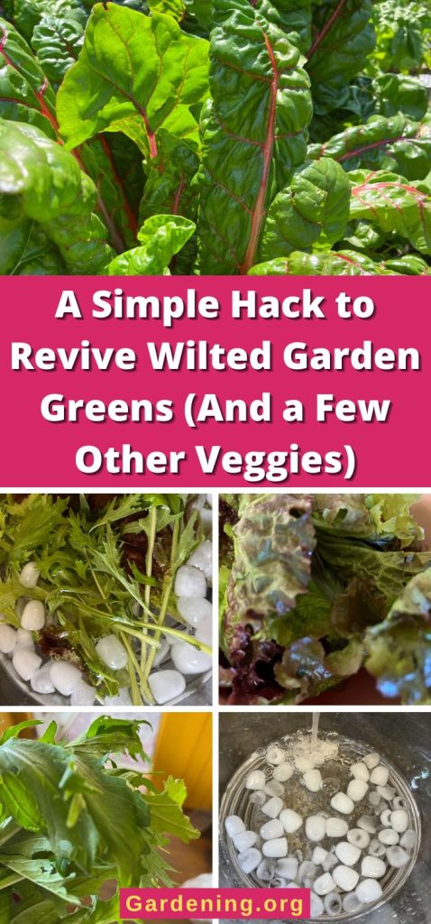 A Simple Hack to Revive Wilted Garden Greens (And a Few Other Veggies) pinterest image.
