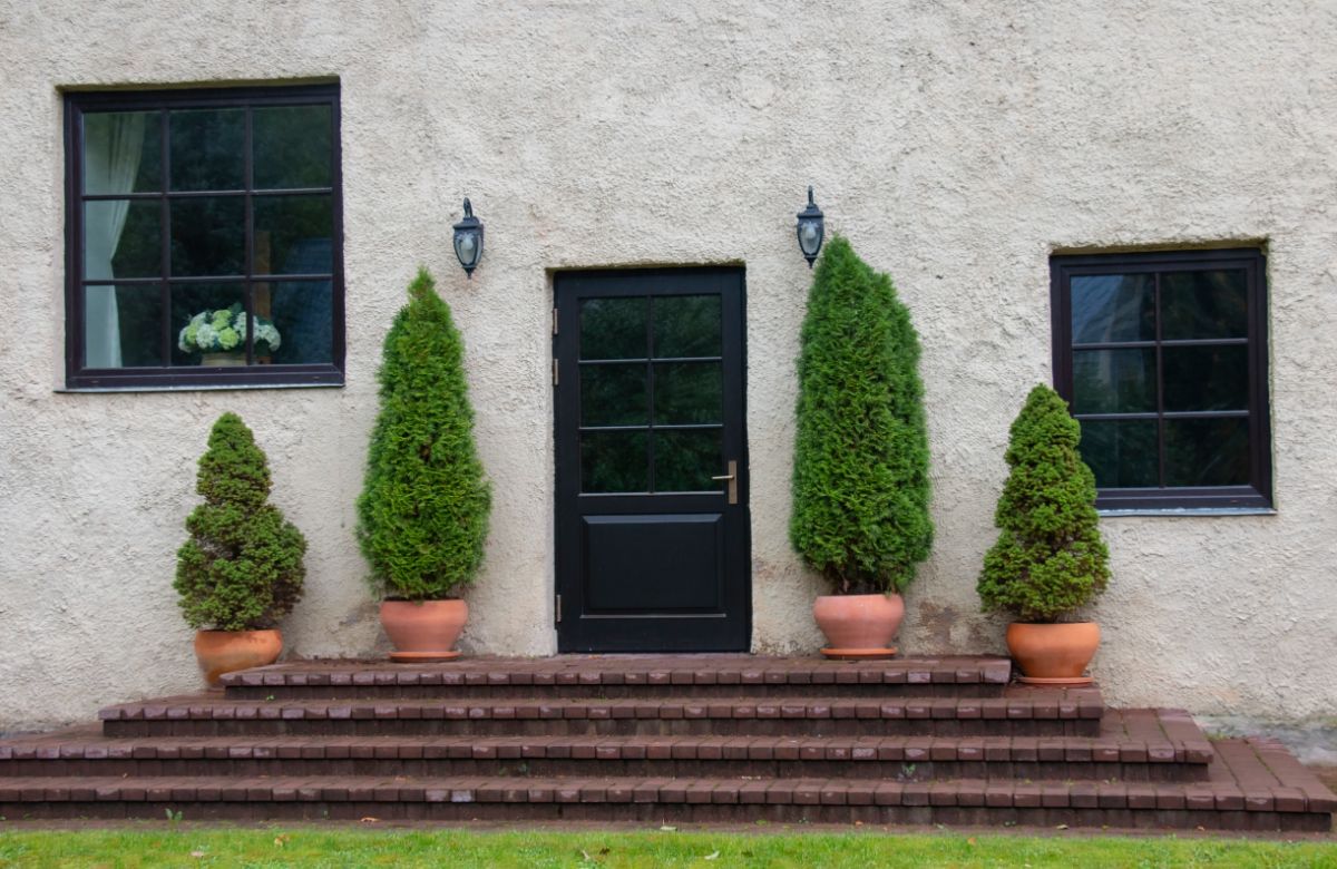 Potted evergreens on a door step