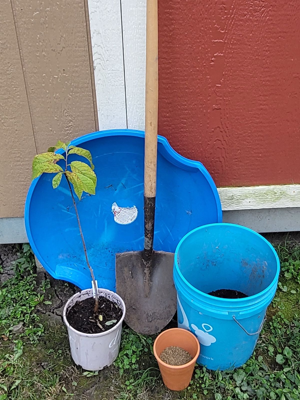 Equipment for planting a tree 