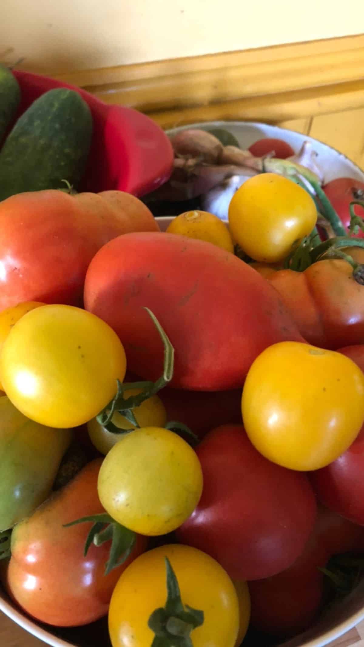 Tomatoes at room temperature