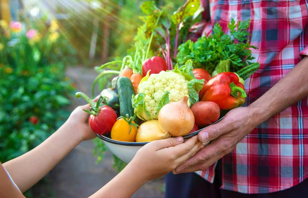 A person hands a bowl of fresh vegetables to another