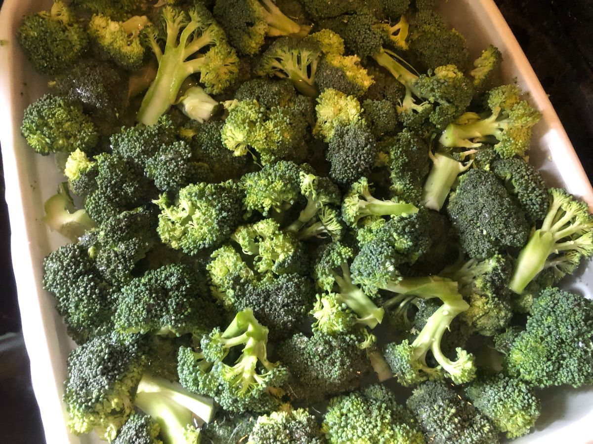 Broccoli cut and ready for packing and storing