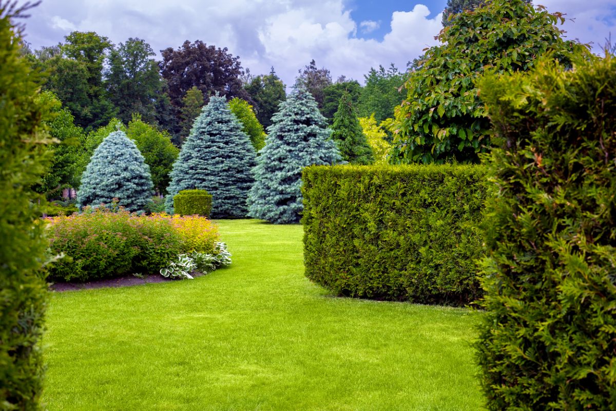 An evergreen landscape for privacy