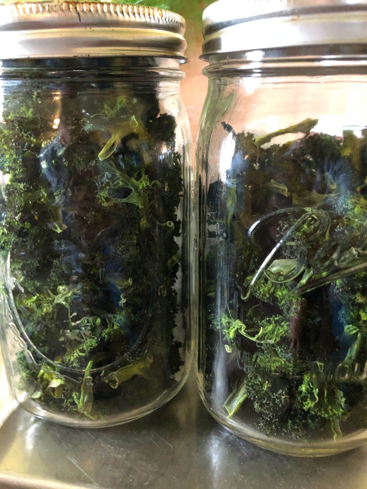 Dried broccoli stored in canning jars
