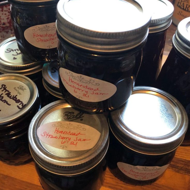 Easy No-Cook Any Berry Freezer Jam in glass jars.