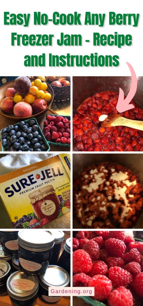 Easy No-Cook Any Berry Freezer Jam – Recipe and Instructions pinterest image.