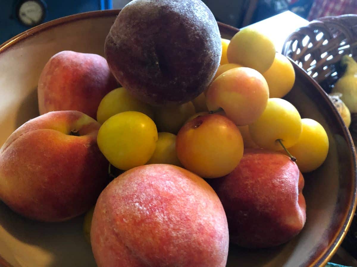 A bowl of fresh fruit for dehydrating