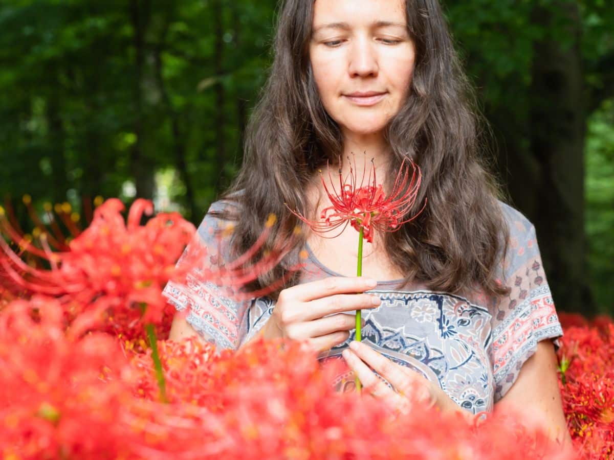 A woman in a stand of red swamp lilies holding a flower