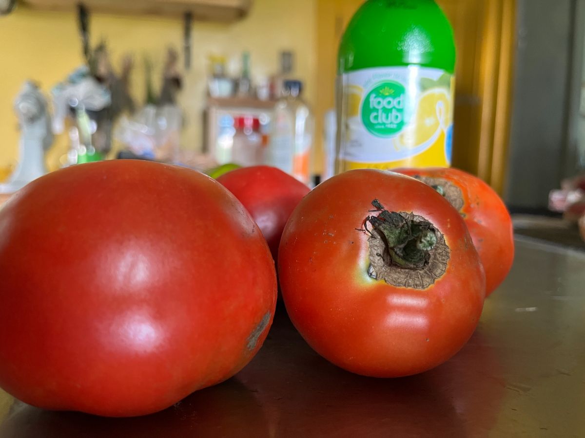 Ripe tomatoes on a counter