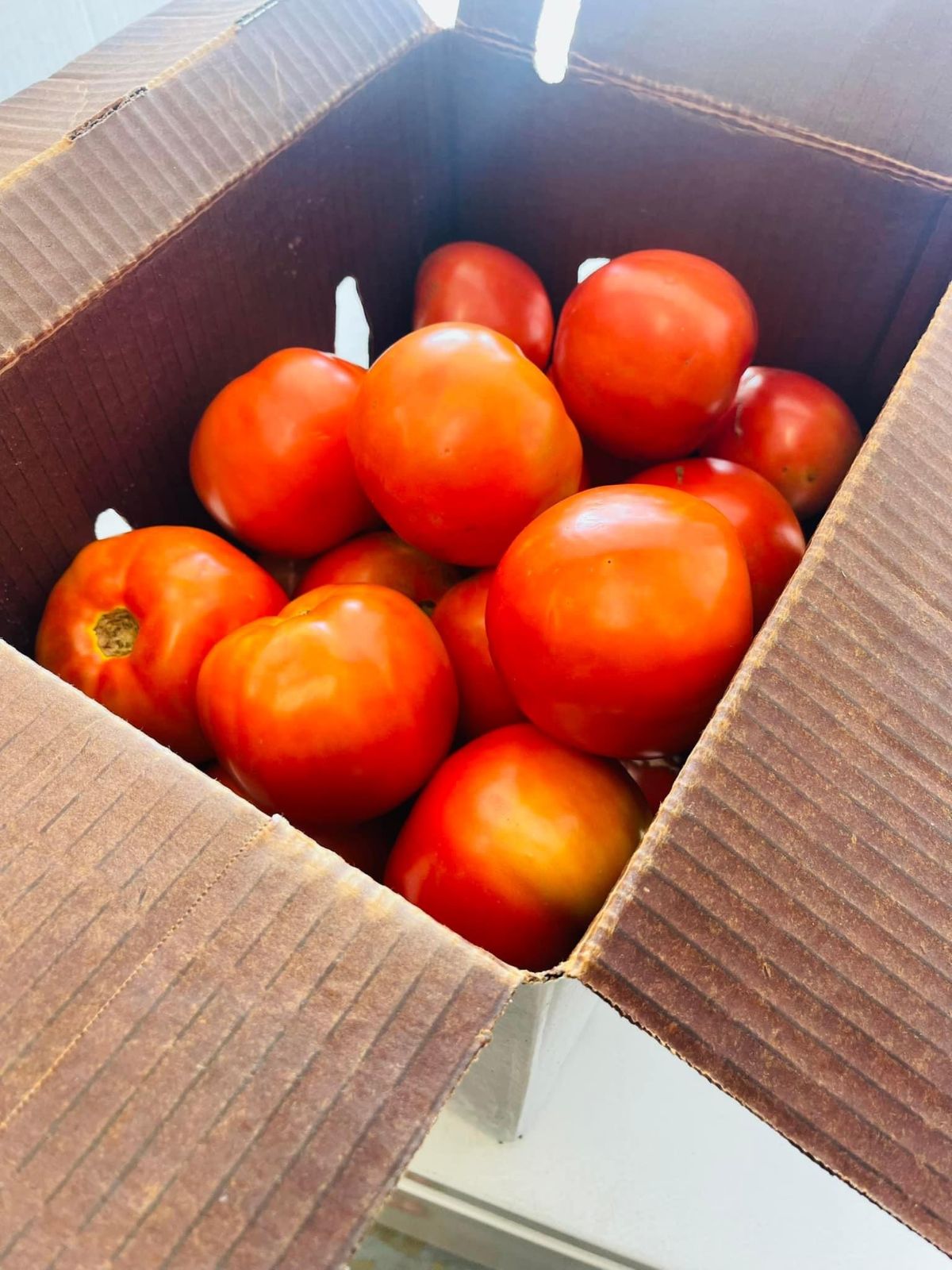 Ripening tomatoes in a box