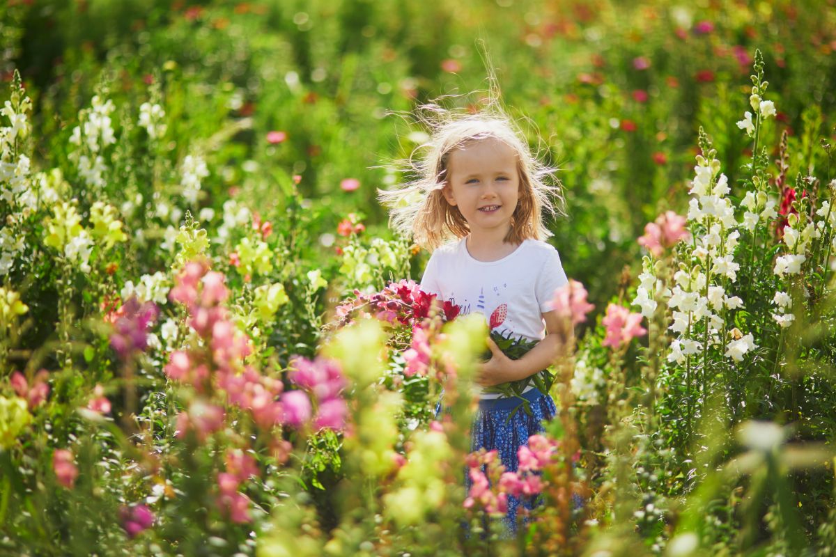 A young girl in a garden of snapdragons