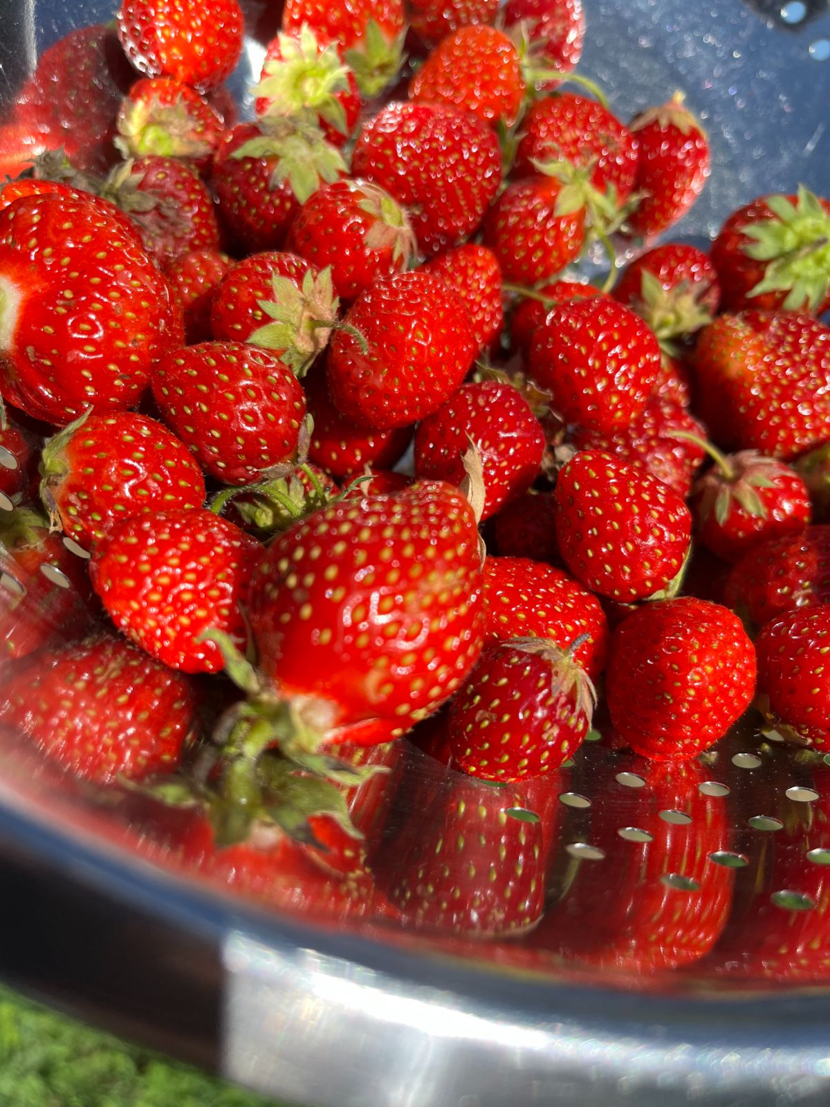 Fresh strawberries for jam
