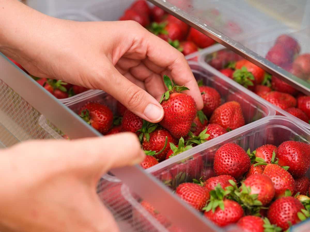 Strawberries stored in the refrigerator