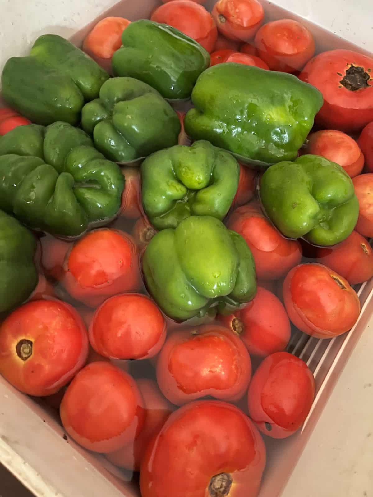 Tomatoes and pepper getting ready to dehydrate