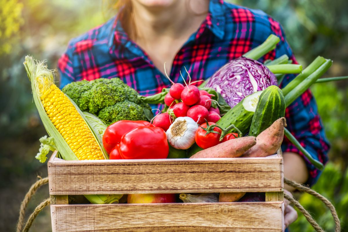 A box of fresh produce from the farmers market