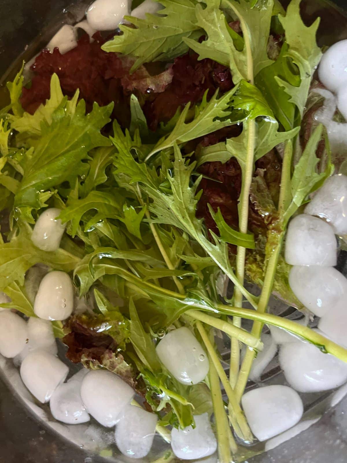 Lettuce crisping in a bath of ice water