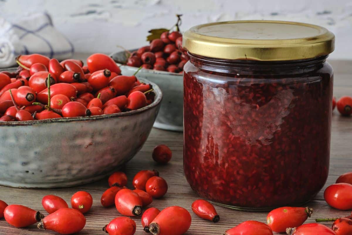 Rose hip jelly surrounded by fresh hips