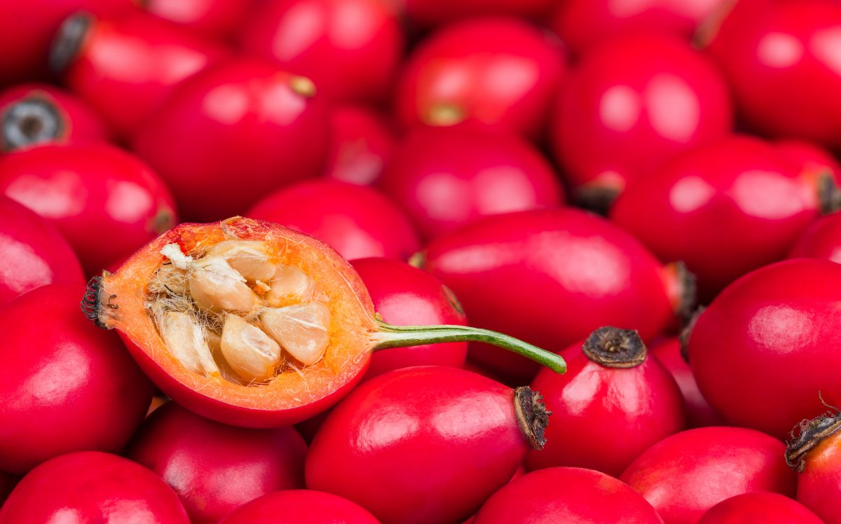 Rose hips cut in half