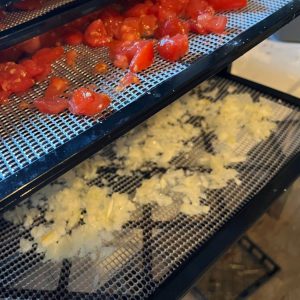 Chopped tomatoes and onions in a dehydrator.