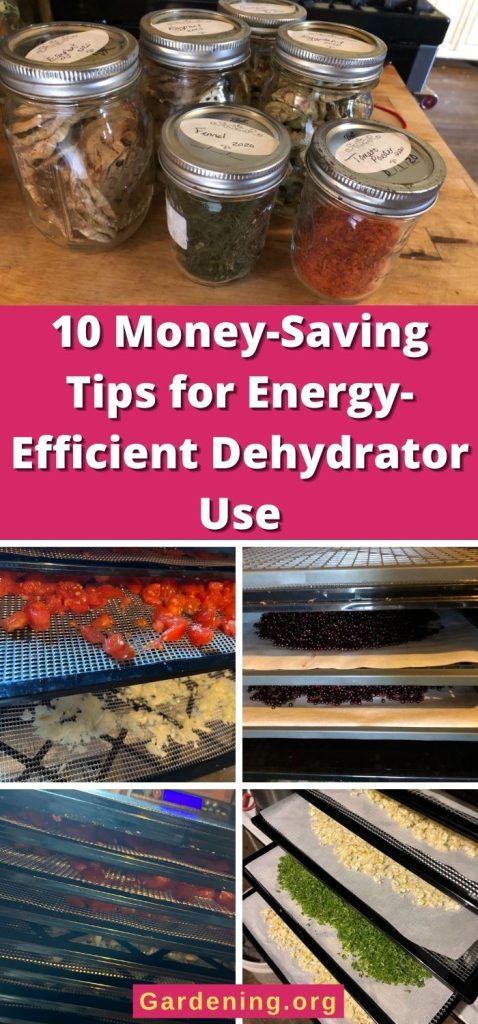 10 Money-Saving Tips for Energy-Efficient Dehydrator Use pinterest image.