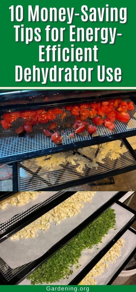 10 Money-Saving Tips for Energy-Efficient Dehydrator Use pinterest image.