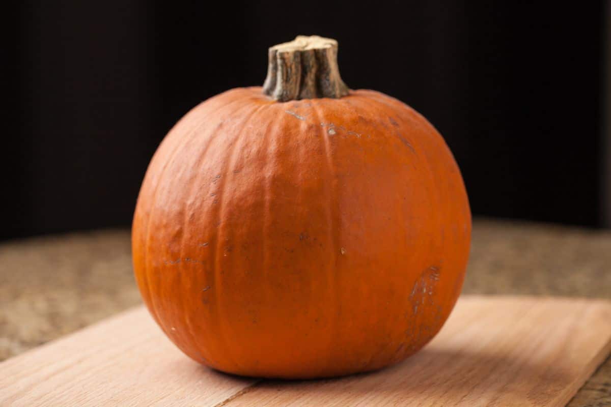 A sugar pumpkin for cooking