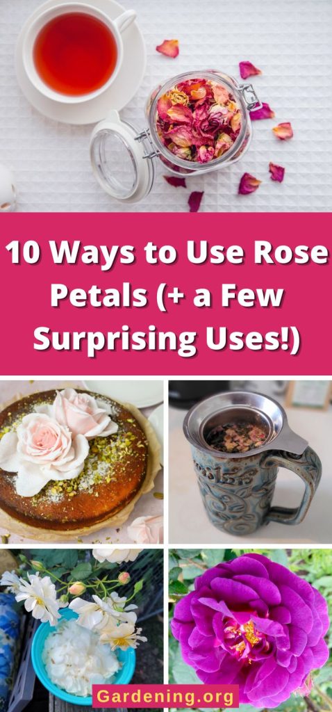 10 Ways to Use Rose Petals (+ a Few Surprising Uses!) pinterest image.