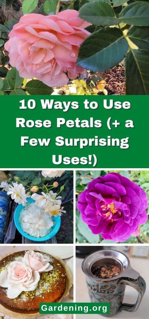10 Ways to Use Rose Petals (+ a Few Surprising Uses!) pinterest image.