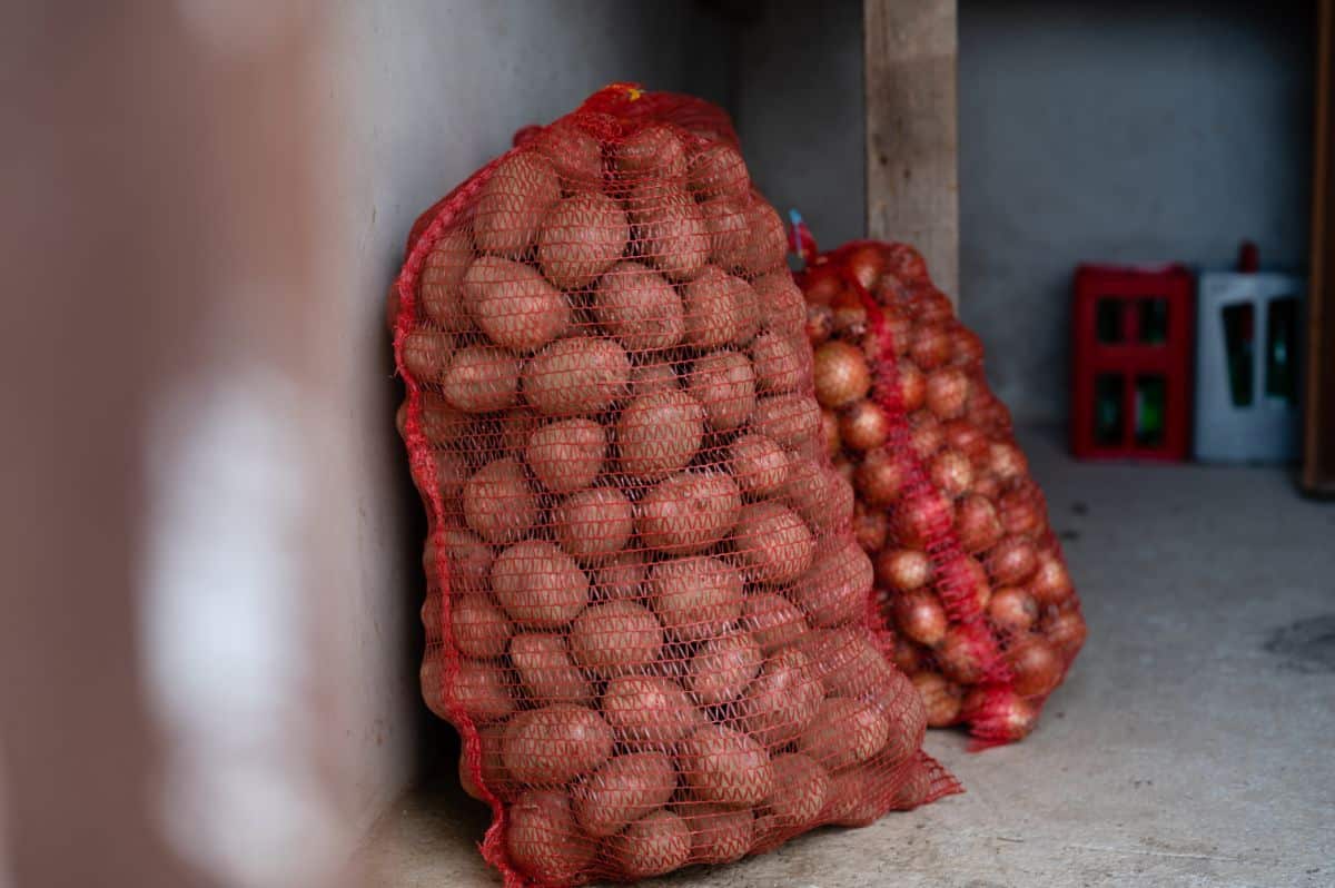 Potatoes stored in a net bag