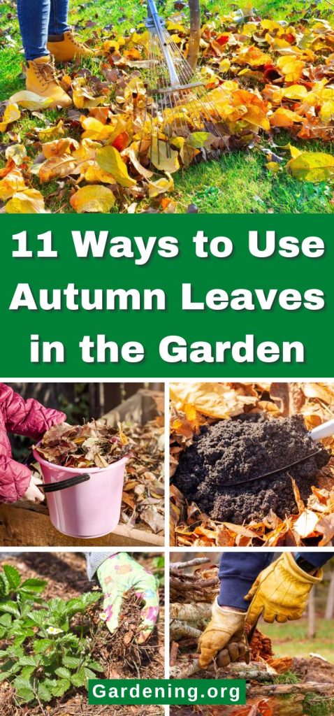11 Ways to Use Autumn Leaves in the Garden pinterest image.