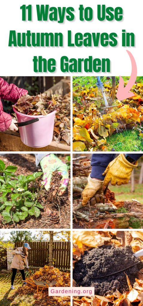 11 Ways to Use Autumn Leaves in the Garden pinterest image.