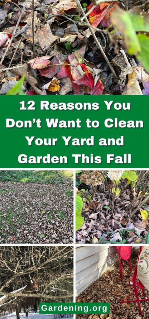 12 Reasons You Don’t Want to Clean Your Yard and Garden This Fall pinterest image.
