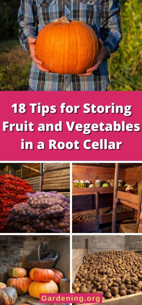 18 Tips for Storing Fruit and Vegetables in a Root Cellar pinterest image.