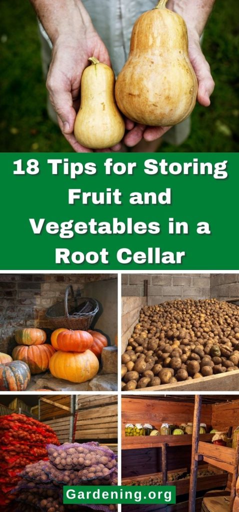 18 Tips for Storing Fruit and Vegetables in a Root Cellar pinterest image.