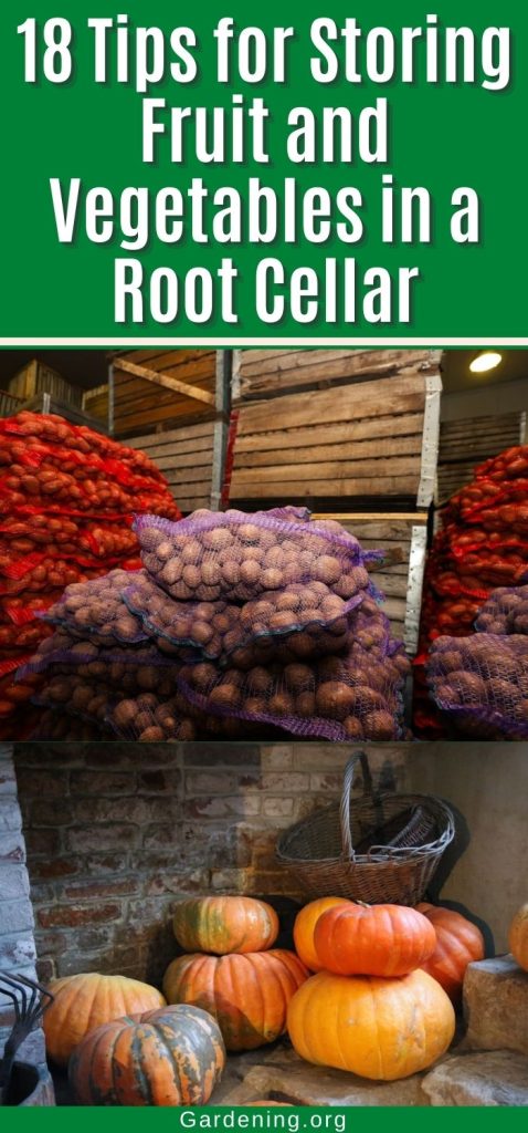 18 Tips for Storing Fruit and Vegetables in a Root Cellar pinterest image.