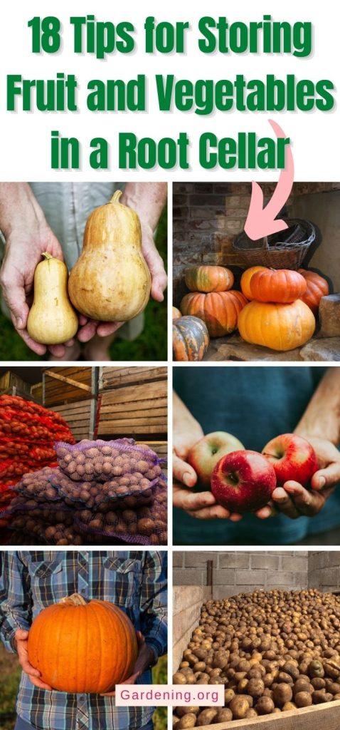 18 Tips for Storing Fruit and Vegetables in a Root Cellar pinterest image.