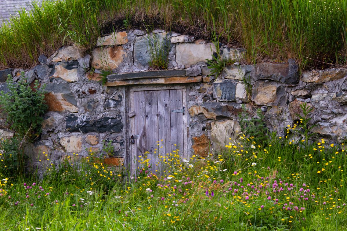 A root cellar in a hillside