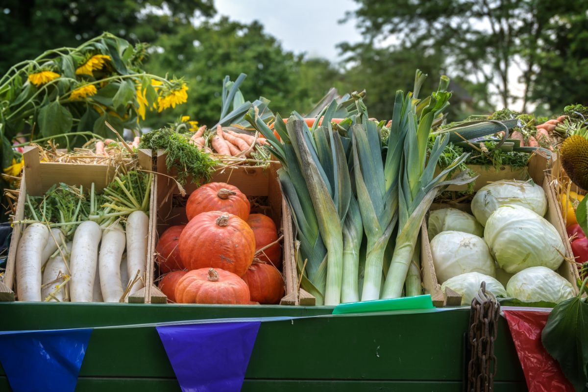 Squash and fall produce at a farm stand