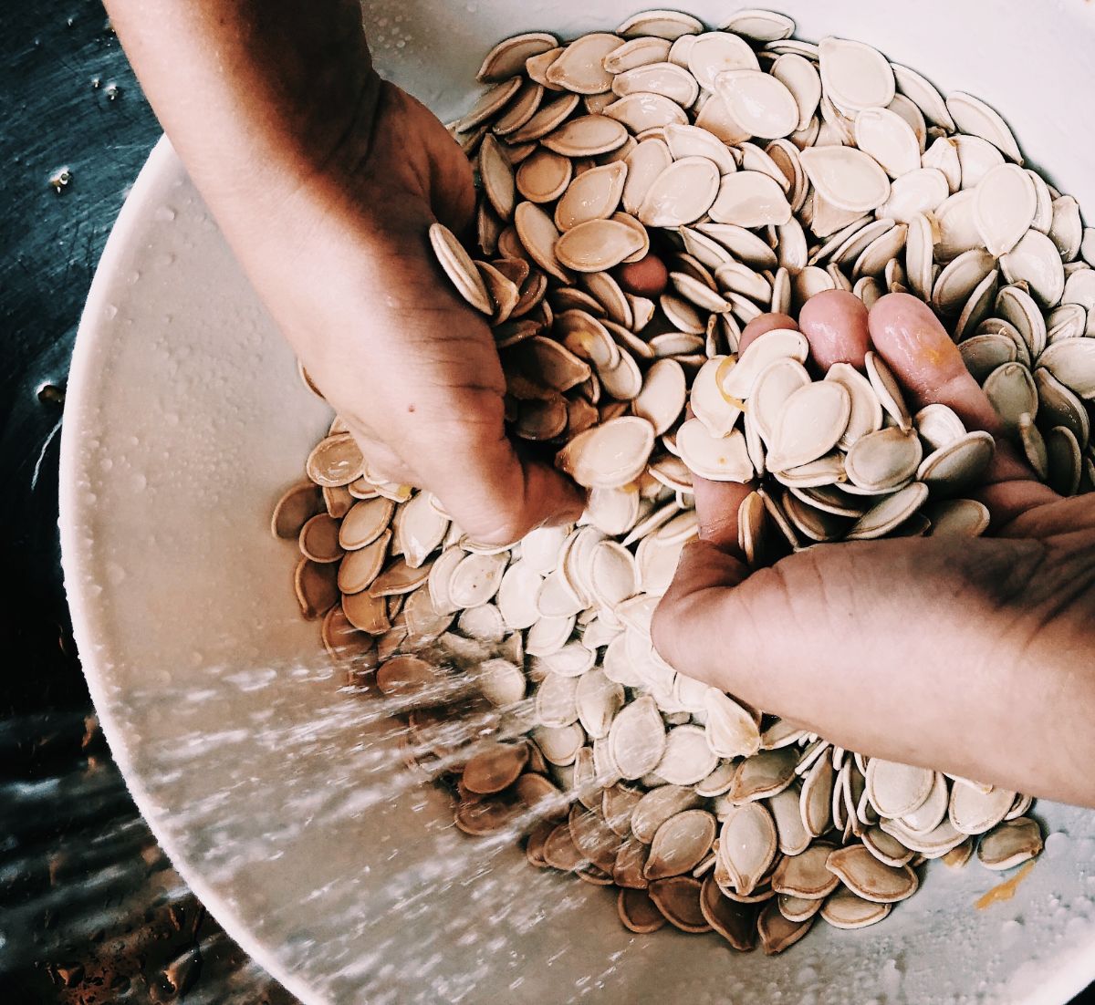 Pumpkin seeds being washed to remove pulp