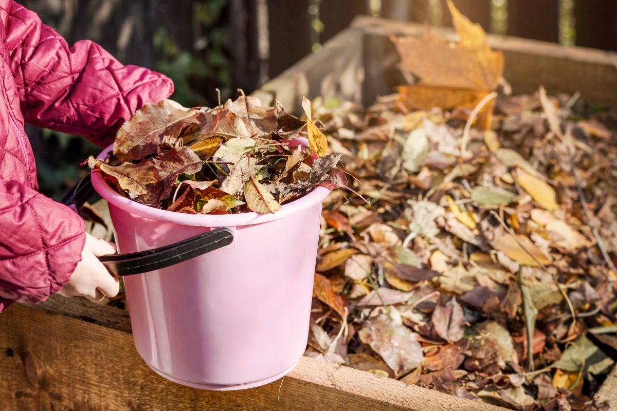 A girl adding a bucket of leaves to a compost pile